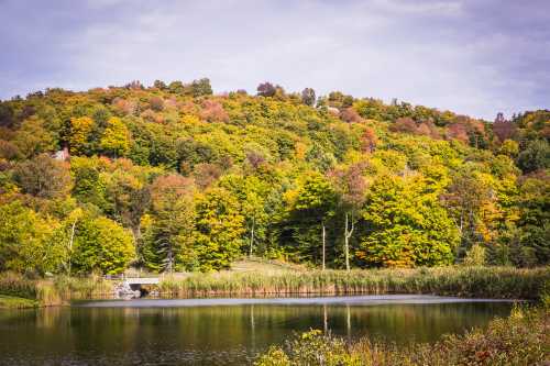 A serene lake surrounded by a hillside of vibrant autumn foliage under a cloudy sky.