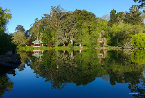 A serene pond surrounded by lush greenery, reflecting a gazebo and trees under a clear blue sky.