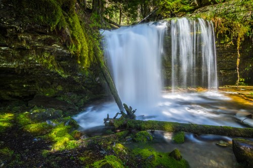 A serene waterfall cascades over moss-covered rocks, surrounded by lush greenery and a tranquil pool below.