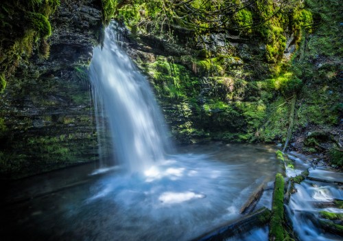 A serene waterfall cascades into a lush, green forest pool, surrounded by moss-covered rocks and trees.