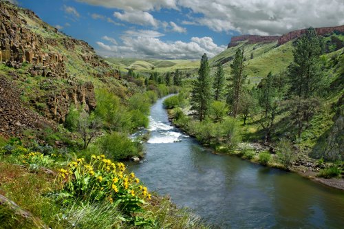 A serene river flows through lush green hills, with rocky cliffs and vibrant yellow flowers in the foreground under a cloudy sky.