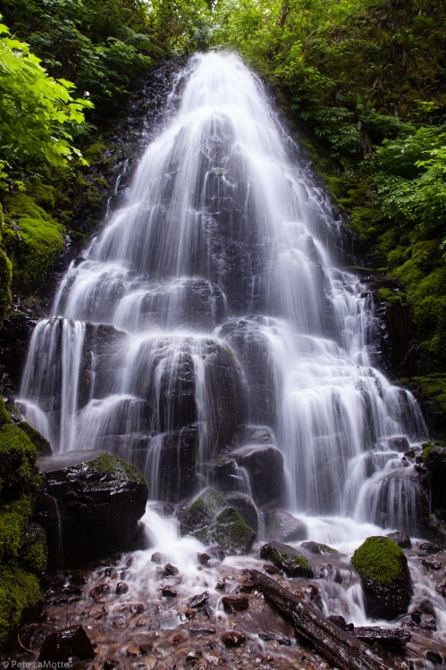 A cascading waterfall flows over moss-covered rocks, surrounded by lush green foliage.
