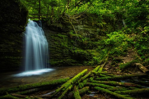 A serene waterfall cascades over moss-covered rocks, surrounded by lush green foliage and fallen logs.