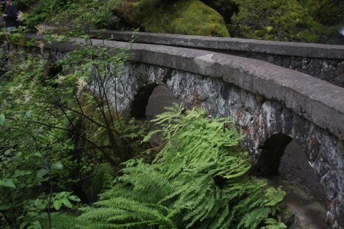 A stone bridge arches over a small stream, surrounded by lush green ferns and mossy rocks in a forested area.