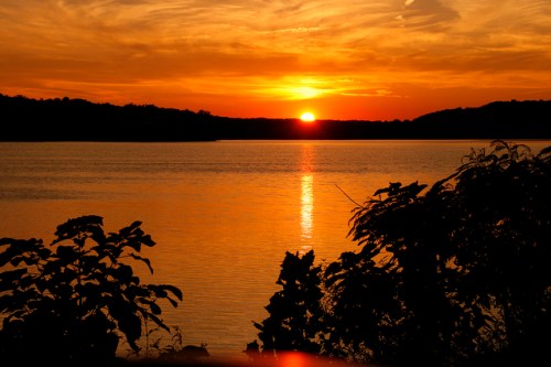 A serene sunset over a calm lake, with silhouettes of plants in the foreground and vibrant orange and yellow hues in the sky.