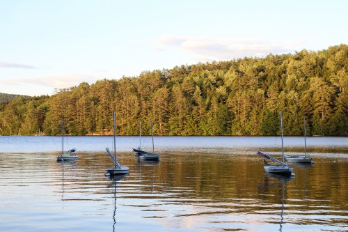 Sailboats anchored on calm water with a forested shoreline under a clear sky.