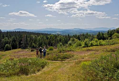 Three people stand on a grassy hill, overlooking a lush green landscape and distant mountains under a blue sky.