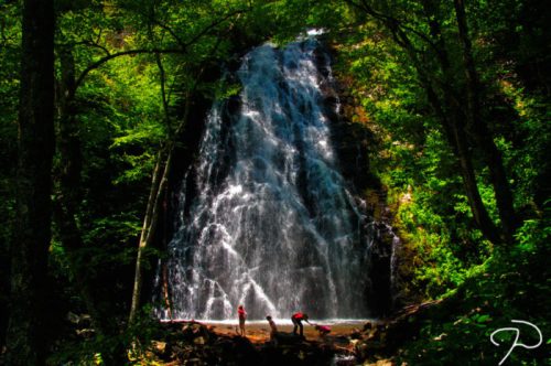 A vibrant waterfall cascades down rocky cliffs, surrounded by lush green trees, with two people standing at the base.