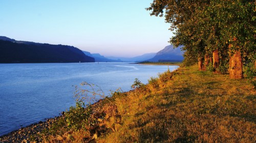 A serene riverbank scene at sunset, with trees lining the shore and mountains in the distance.