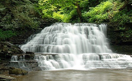 A serene waterfall cascading over rocks, surrounded by lush green foliage and a tranquil pool below.