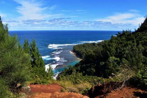 A scenic view of a coastline with waves crashing against rocks, surrounded by lush greenery and a clear blue sky.