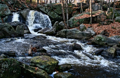 A serene waterfall cascades over rocks, surrounded by autumn leaves and trees in a tranquil forest setting.