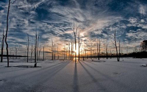 A winter landscape with bare trees casting long shadows on a snowy ground under a dramatic sky at sunset.