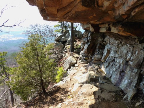 A rocky cliffside with a small overhang, surrounded by trees and a distant view of rolling hills.