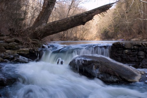 A serene river flows over rocks, with a fallen tree arching above in a tranquil, wooded landscape.