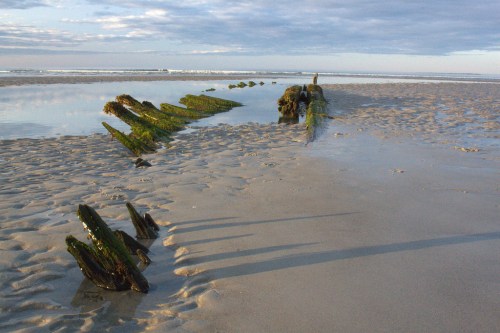 A weathered shipwreck partially submerged in a sandy beach, with green moss and calm water reflecting the sky.