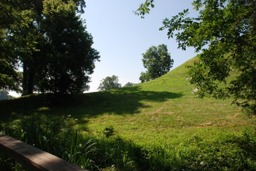 A sunny landscape featuring a grassy hill surrounded by trees and greenery.