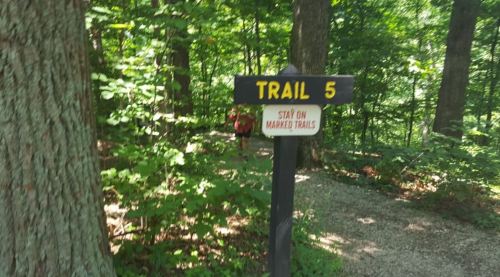 A signpost for Trail 5 in a lush green forest, with a warning to stay on marked trails.