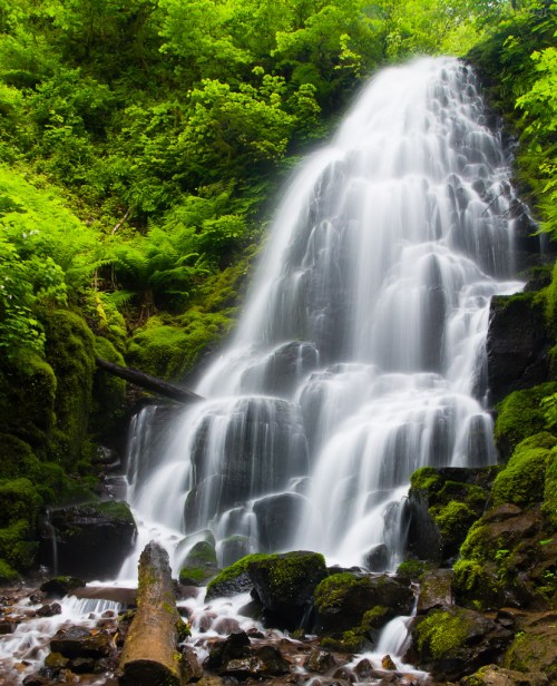 A serene waterfall cascades over moss-covered rocks, surrounded by lush green foliage.
