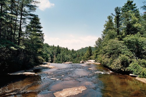 A serene river flows through a lush green forest under a clear blue sky. Rocks are visible in the water.