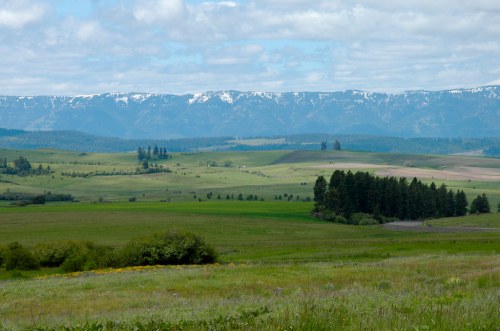 A scenic landscape featuring rolling green fields and distant snow-capped mountains under a partly cloudy sky.