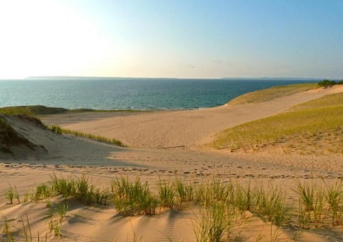 A serene beach scene with sand dunes, green grass, and a calm ocean under a clear blue sky.