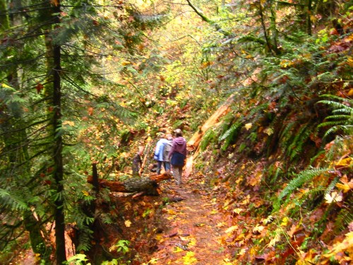 Two people walking along a forest trail surrounded by lush greenery and autumn leaves.