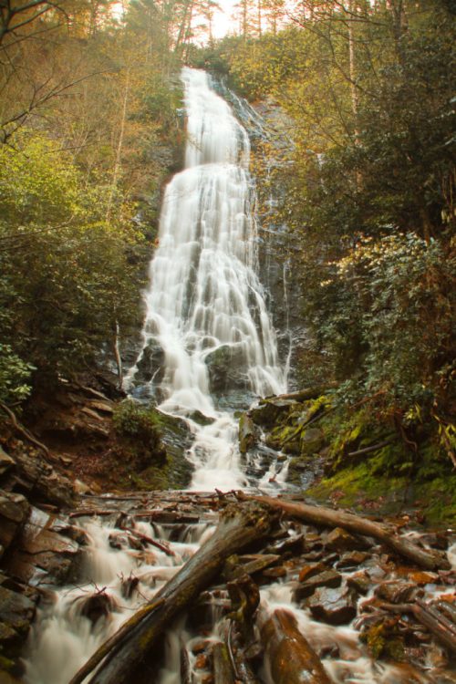 A cascading waterfall surrounded by lush greenery and fallen logs, creating a serene natural scene.