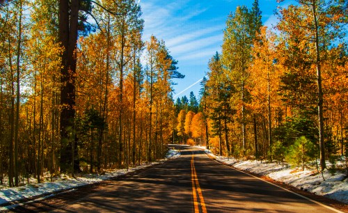 A scenic road lined with vibrant autumn trees and a hint of snow on the ground under a clear blue sky.