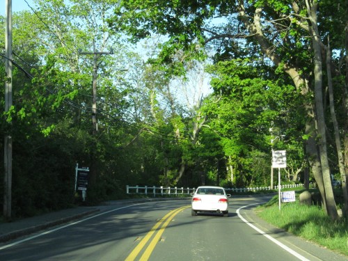 A white car drives along a winding road surrounded by lush green trees and a signpost on the side.