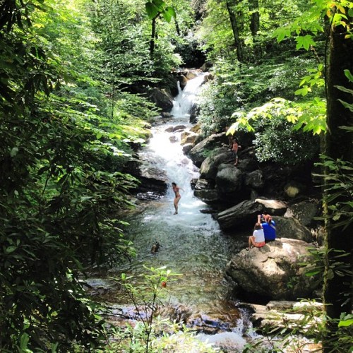 A serene forest scene with a waterfall, surrounded by lush greenery and people enjoying the water.