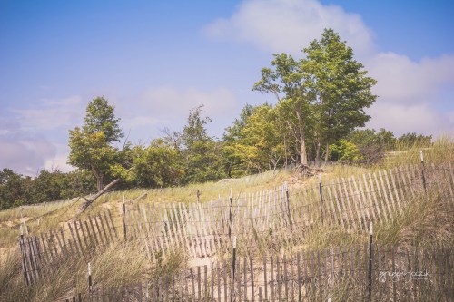 A sandy dune with a wooden fence, surrounded by green grass and trees under a blue sky with soft clouds.