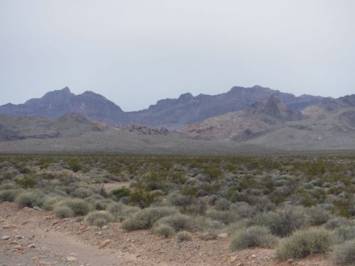A vast desert landscape with sparse vegetation and distant mountains under a cloudy sky.