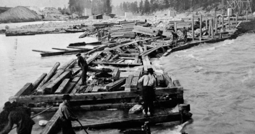 Historic black-and-white photo of workers constructing a wooden dock on a river, surrounded by trees and debris.