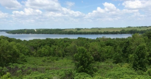A serene landscape featuring a calm lake surrounded by lush greenery and a blue sky with fluffy clouds.