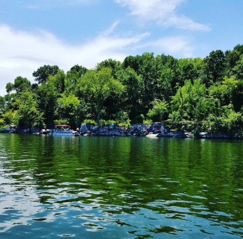 A serene lake scene with lush green trees lining the shore under a clear blue sky. Reflections shimmer on the water.