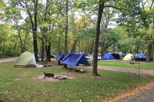 A campsite with several tents set up among trees, a fire pit in the center, and a few parked cars in the background.