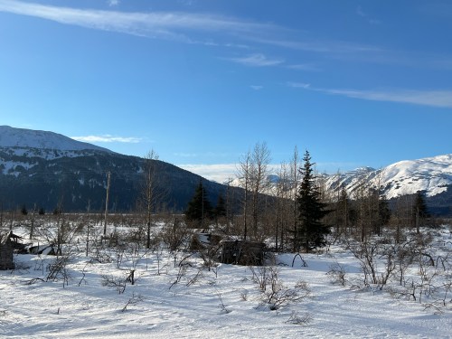 Snow-covered landscape with mountains in the background, scattered trees, and remnants of old structures under a clear blue sky.