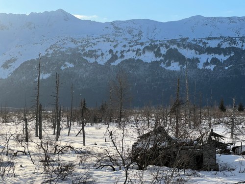 A snowy landscape with a dilapidated structure and bare trees, set against a backdrop of mountains.