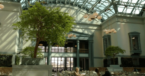 Bright indoor space with a glass ceiling, greenery, and seating arranged for an event.