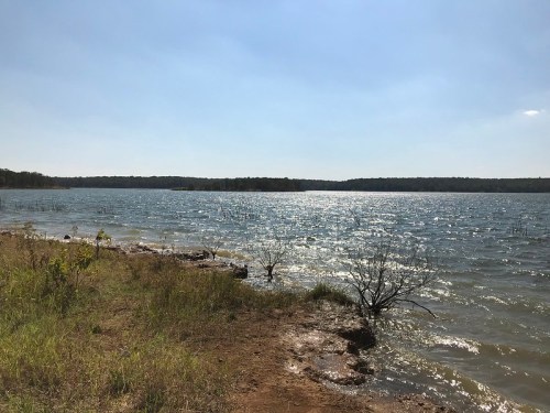 A serene lake scene with shimmering water, grassy shore, and distant trees under a clear blue sky.