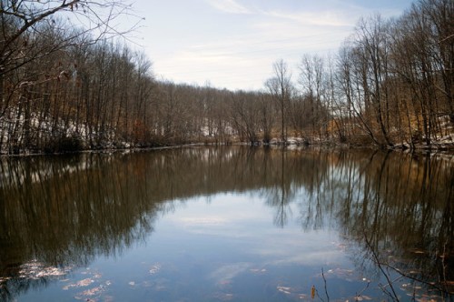 A serene lake surrounded by bare trees, reflecting the sky and landscape on a calm day.