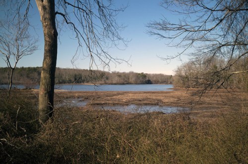 A serene landscape featuring a calm lake surrounded by bare trees and shrubs under a clear blue sky.