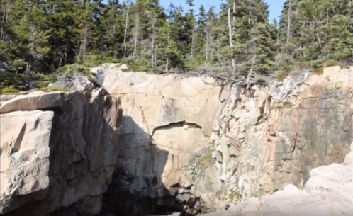Rocky cliffside with dense trees above, overlooking a small cove or beach area. Clear blue sky in the background.