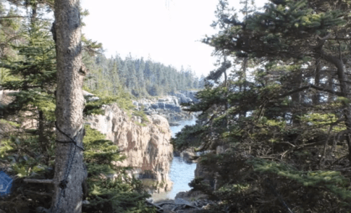 A scenic view of a rocky coastline framed by trees, with calm water and distant forested hills.