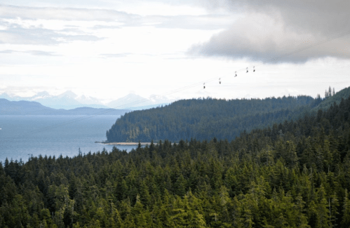 A scenic view of a forested coastline with mountains in the distance and a cable car line above.