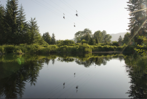 Two zipliners glide above a calm pond surrounded by lush greenery and trees under a clear blue sky.