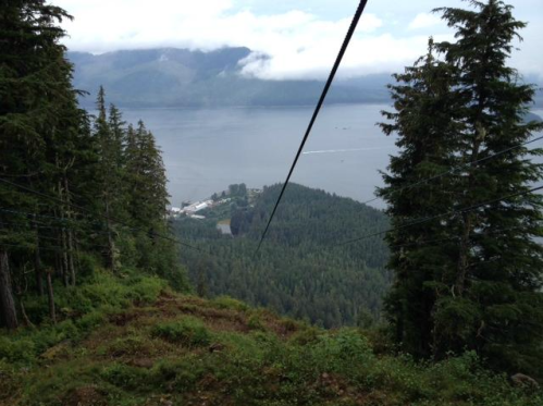 A scenic view from a mountain cable car, overlooking a forested landscape and a body of water in the distance.