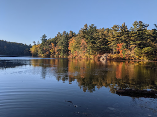 A serene lake surrounded by colorful autumn trees, reflecting the clear blue sky and vibrant foliage.