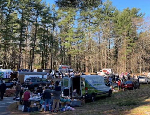 A bustling outdoor flea market with vendors and shoppers among tall trees on a sunny day.